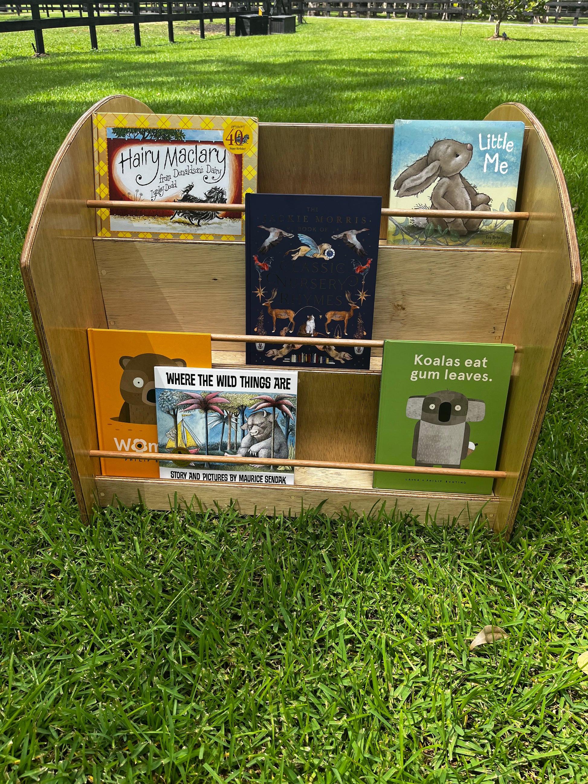 Book shelf on a lawn